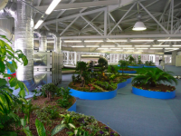 /album/repino2/picture-31-png1/